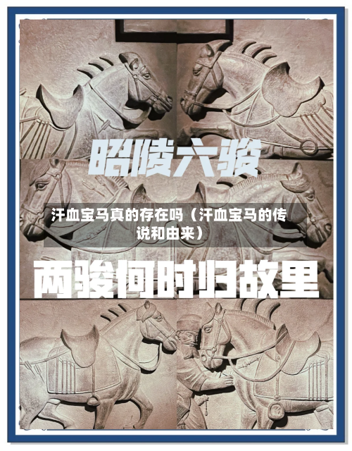 汗血宝马真的存在吗(汗血宝马的传说和由来)-第1张图片