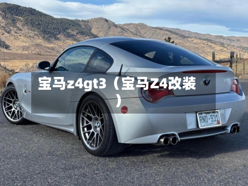 宝马z4gt3(宝马Z4改装)-第1张图片