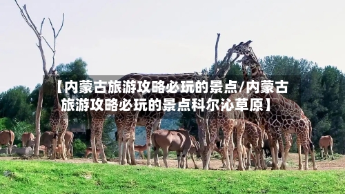 【内蒙古旅游攻略必玩的景点/内蒙古旅游攻略必玩的景点科尔沁草原】-第1张图片