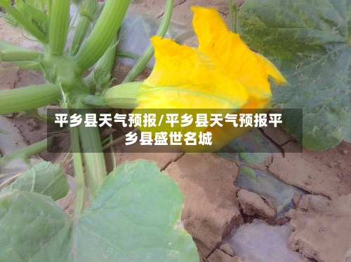 平乡县天气预报/平乡县天气预报平乡县盛世名城-第1张图片
