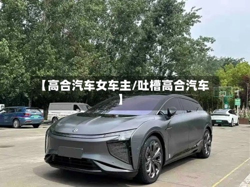 【高合汽车女车主/吐槽高合汽车】-第1张图片