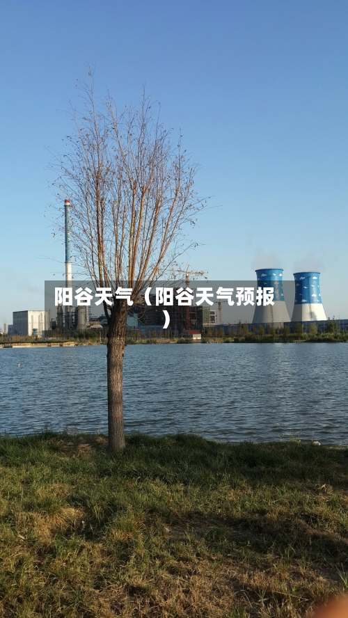 阳谷天气（阳谷天气预报）-第1张图片