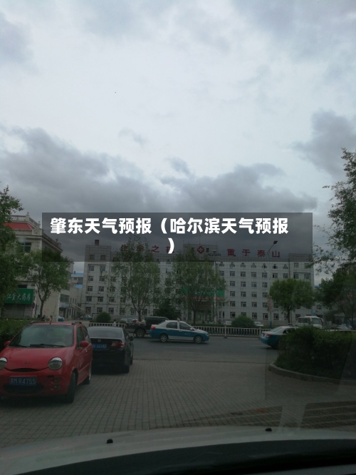 肇东天气预报(哈尔滨天气预报)-第1张图片