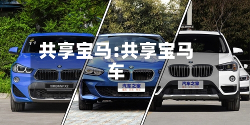 共享宝马:共享宝马车-第1张图片