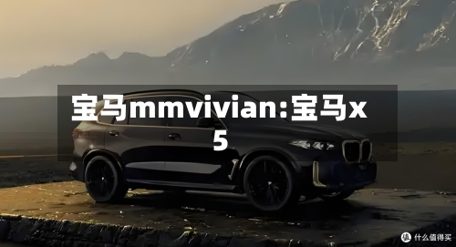 宝马mmvivian:宝马x5-第1张图片