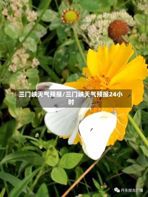 三门峡天气预报/三门峡天气预报24小时-第1张图片