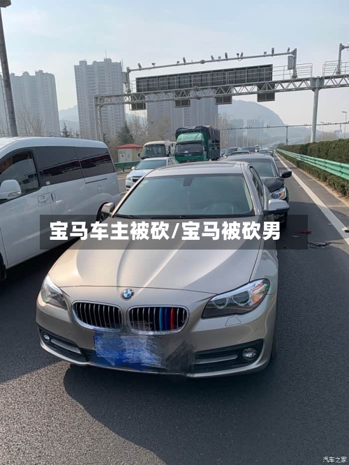 宝马车主被砍/宝马被砍男-第1张图片