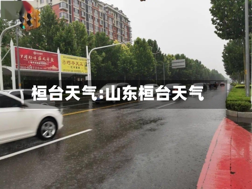 桓台天气:山东桓台天气-第1张图片
