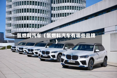 氢燃料汽车(氢燃料汽车有哪些品牌)-第1张图片