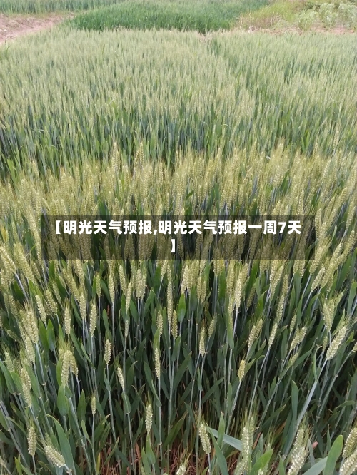 【明光天气预报,明光天气预报一周7天】-第1张图片