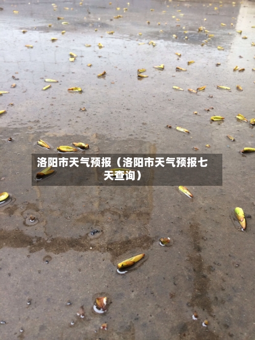 洛阳市天气预报(洛阳市天气预报七天查询)-第1张图片