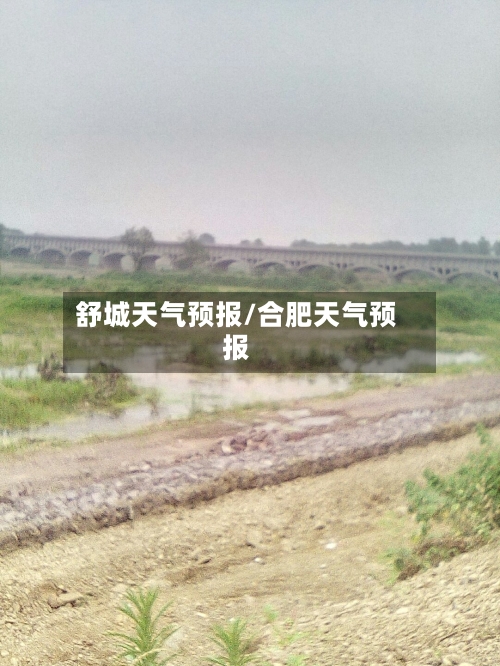 舒城天气预报/合肥天气预报-第1张图片