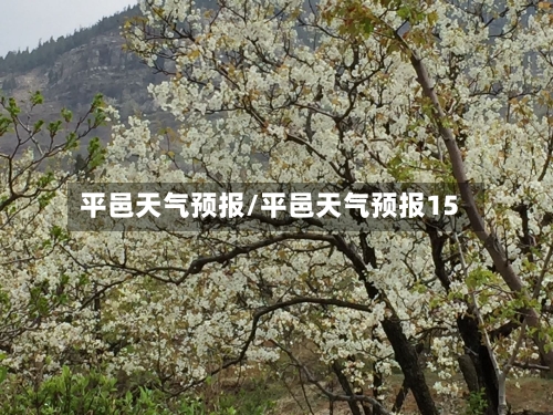 平邑天气预报/平邑天气预报15-第1张图片