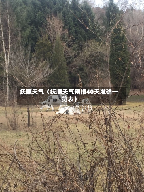 抚顺天气(抚顺天气预报40天准确一览表)-第1张图片