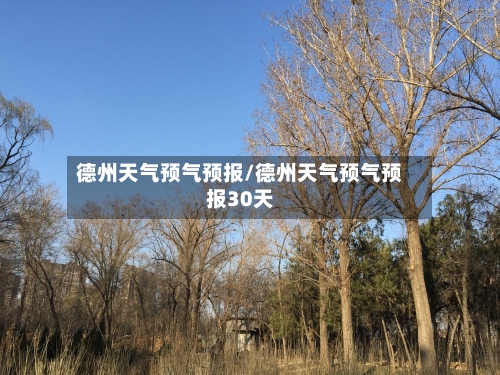 德州天气预气预报/德州天气预气预报30天-第1张图片