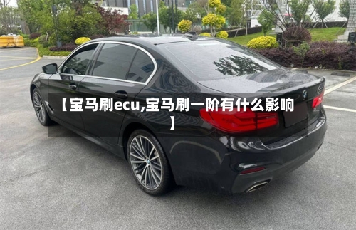 【宝马刷ecu,宝马刷一阶有什么影响】-第1张图片