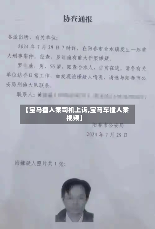 【宝马撞人案司机上诉,宝马车撞人案视频】-第1张图片