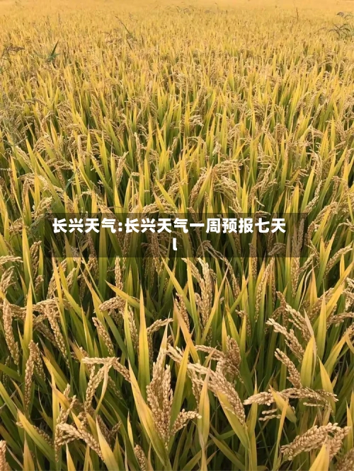 长兴天气:长兴天气一周预报七天l-第1张图片