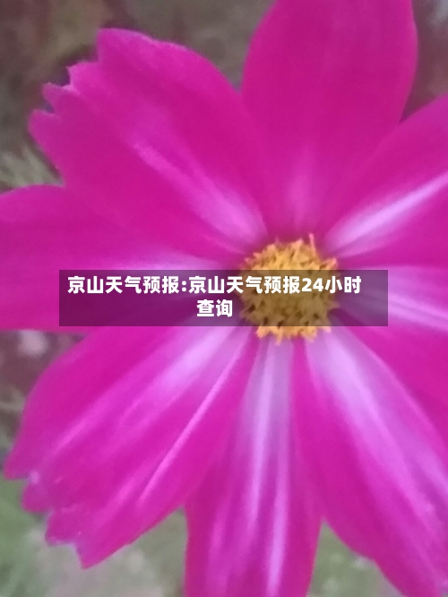 京山天气预报:京山天气预报24小时查询-第1张图片