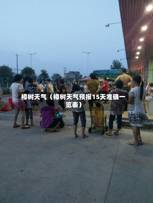 樟树天气(樟树天气预报15天准确一览表)-第1张图片