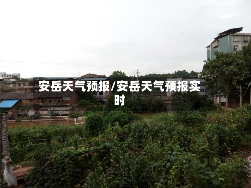 安岳天气预报/安岳天气预报实时-第1张图片