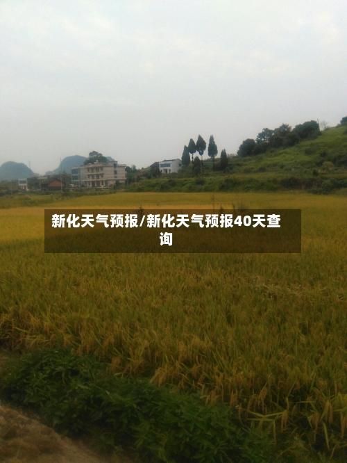 新化天气预报/新化天气预报40天查询-第1张图片