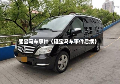 砸宝马车事件（砸宝马车事件后续）-第1张图片