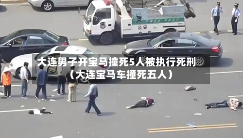 大连男子开宝马撞死5人被执行死刑(大连宝马车撞死五人)-第1张图片