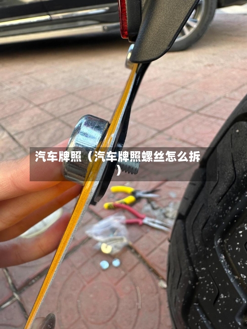 汽车牌照(汽车牌照螺丝怎么拆)-第1张图片