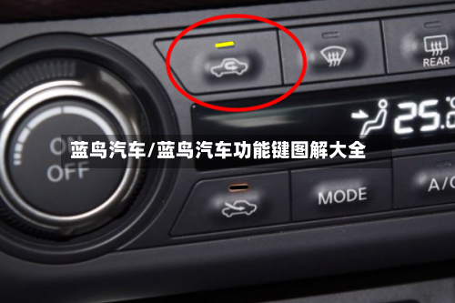蓝鸟汽车/蓝鸟汽车功能键图解大全-第1张图片