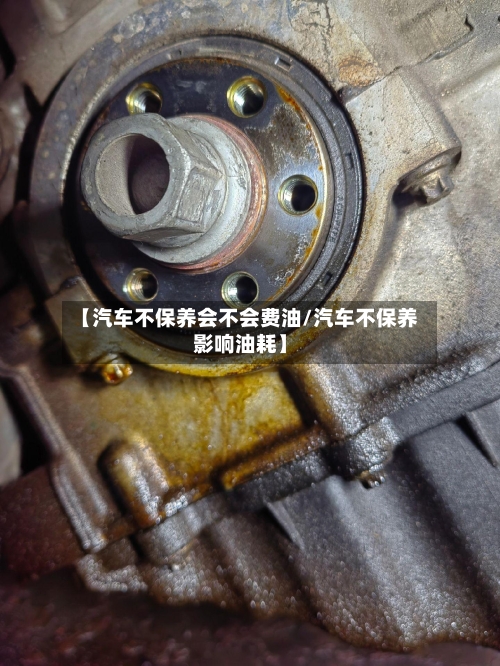 【汽车不保养会不会费油/汽车不保养影响油耗】-第1张图片