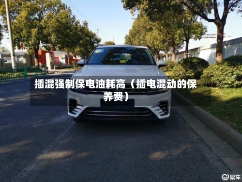 插混强制保电油耗高(插电混动的保养费)-第1张图片