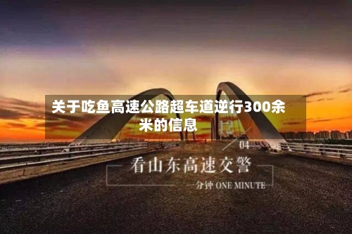 关于吃鱼高速公路超车道逆行300余米的信息-第1张图片