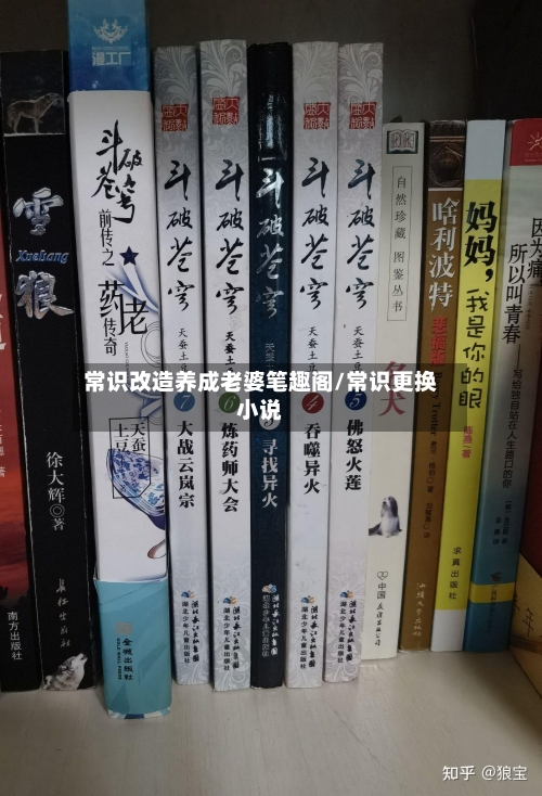 常识改造养成老婆笔趣阁/常识更换小说-第1张图片