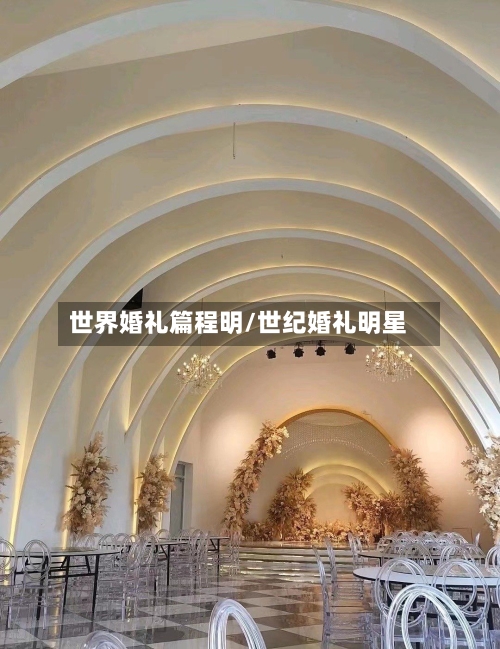 世界婚礼篇程明/世纪婚礼明星-第1张图片