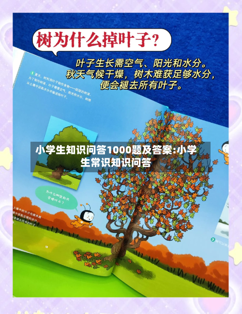 小学生知识问答1000题及答案:小学生常识知识问答-第1张图片