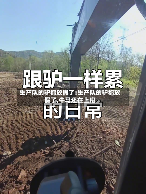 生产队的驴都放假了:生产队的驴都放假了,牛马还在上班-第1张图片