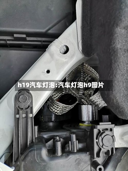 h19汽车灯泡:汽车灯泡h9图片-第1张图片