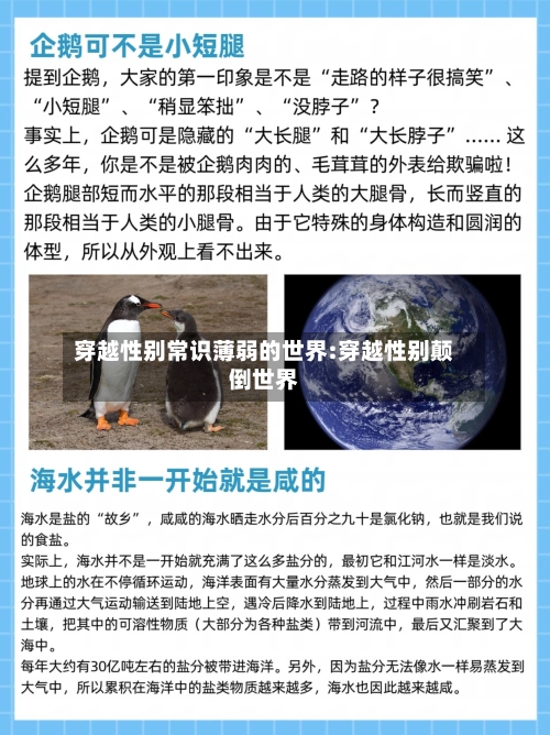 穿越性别常识薄弱的世界:穿越性别颠倒世界-第1张图片