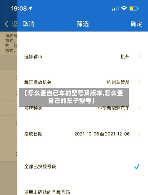 【怎么查自己车的型号及版本,怎么查自己的车子型号】-第1张图片