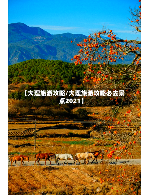 【大理旅游攻略/大理旅游攻略必去景点2021】-第1张图片