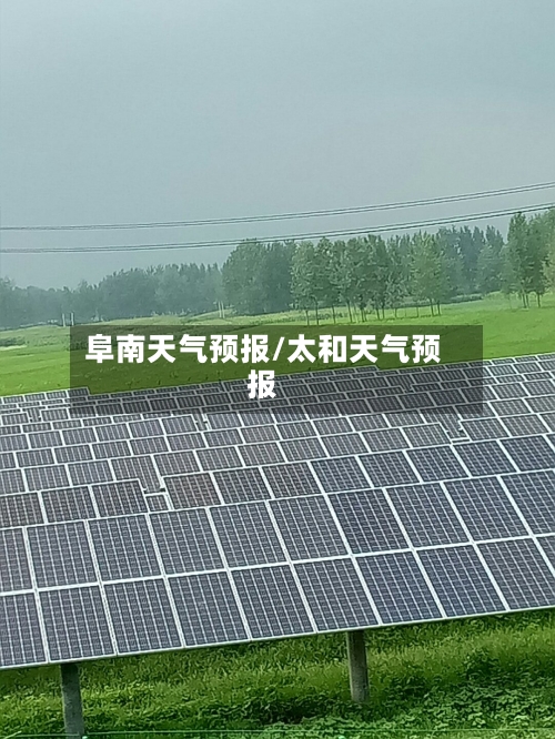 阜南天气预报/太和天气预报-第1张图片