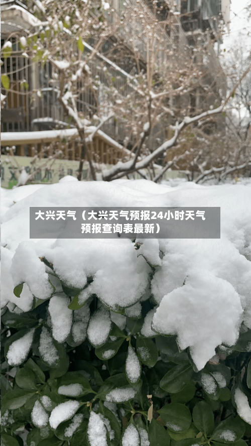 大兴天气（大兴天气预报24小时天气预报查询表最新）-第1张图片