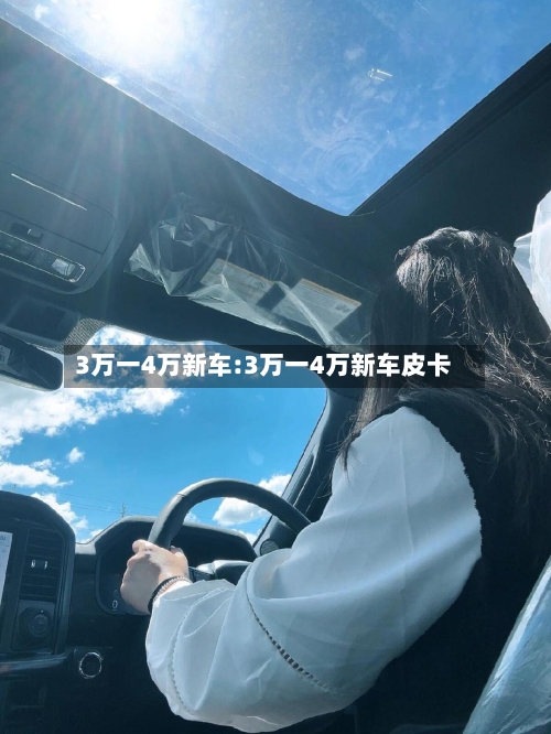 3万一4万新车:3万一4万新车皮卡-第1张图片
