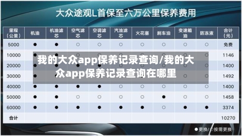 我的大众app保养记录查询/我的大众app保养记录查询在哪里-第1张图片