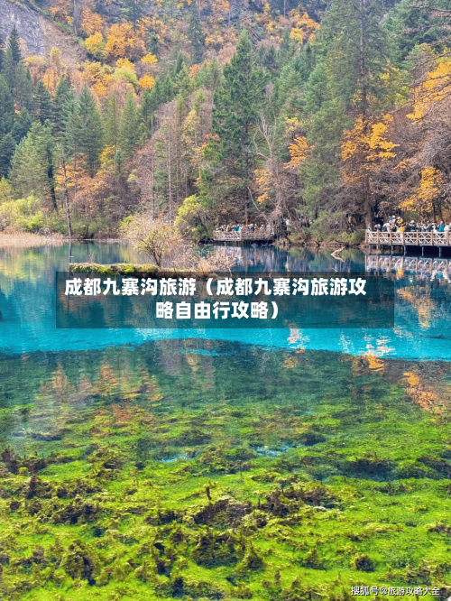 成都九寨沟旅游（成都九寨沟旅游攻略自由行攻略）-第1张图片