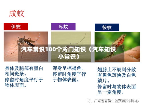 汽车常识100个冷门知识（汽车知识小常识）-第1张图片