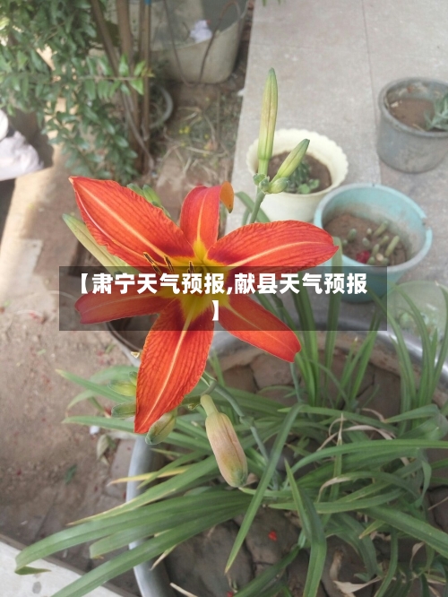【肃宁天气预报,献县天气预报】-第1张图片
