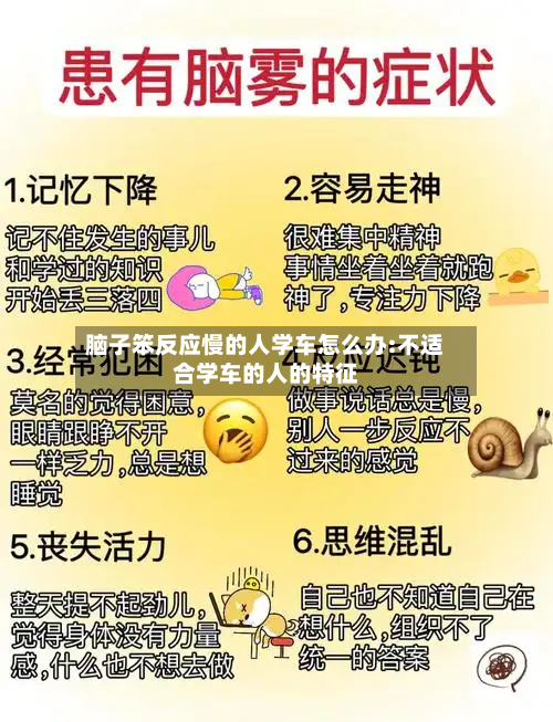 脑子笨反应慢的人学车怎么办:不适合学车的人的特征-第1张图片