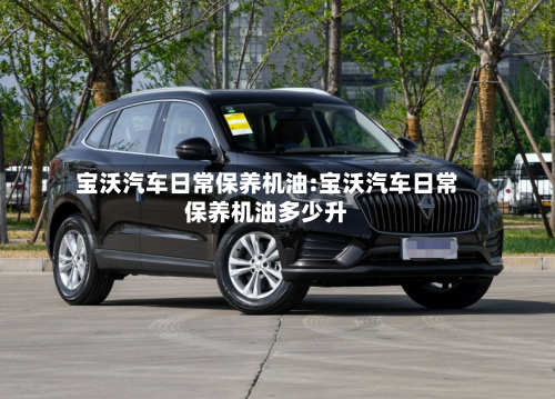 宝沃汽车日常保养机油:宝沃汽车日常保养机油多少升-第1张图片